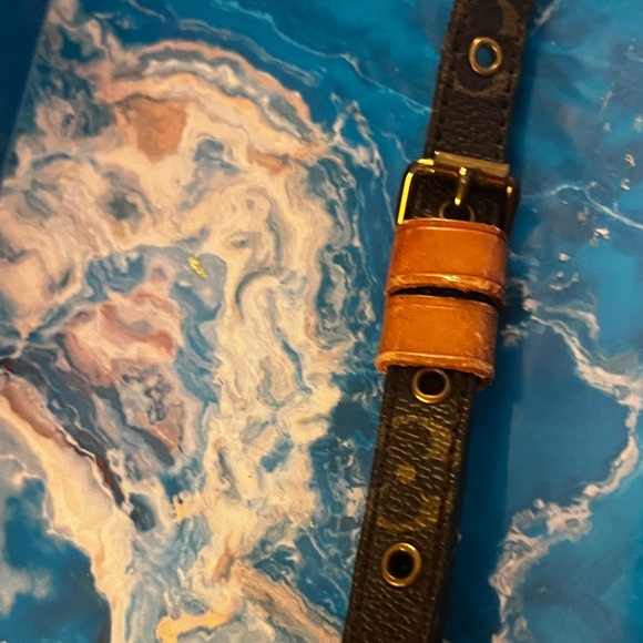 ⭐️Louis Vuitton Amazone crossbody mini - authentic, great condition. Adjustable - Picture 11 of 16